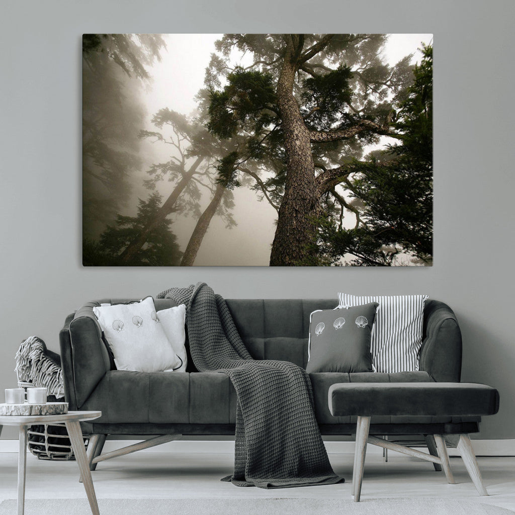 Misty Forest Wall Art Canvas Print, Framed Tall Trees in Foggy Atmosphere