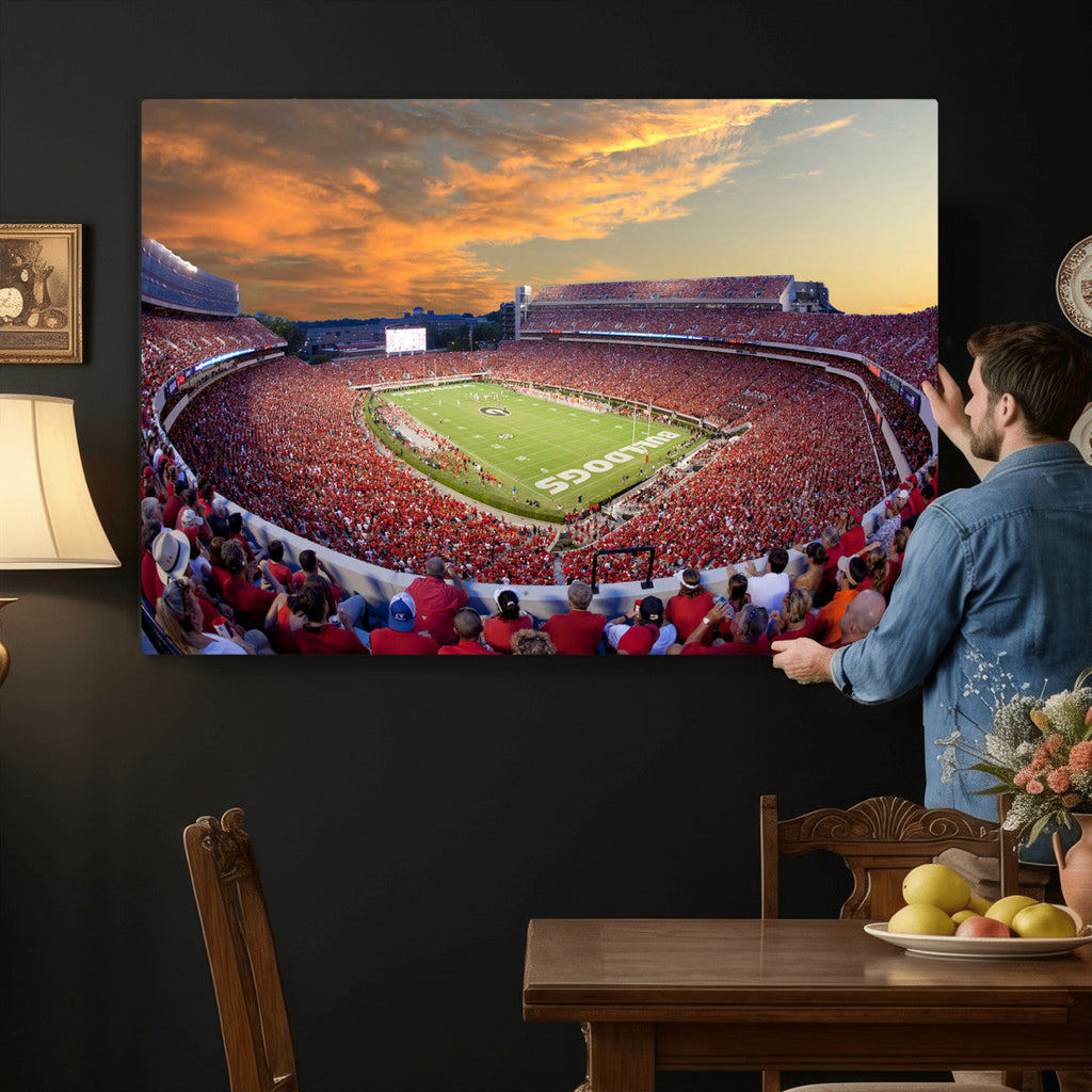 Dooley Stadium Wall Art, Sports Arena Canvas Print, Dooley Field, Framed and Ready to Hang