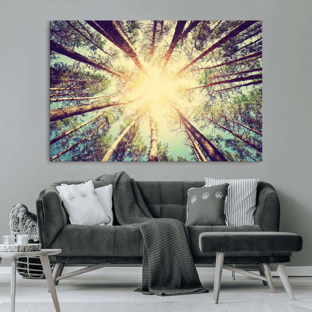 Tree and Sunshine Canvas Print
