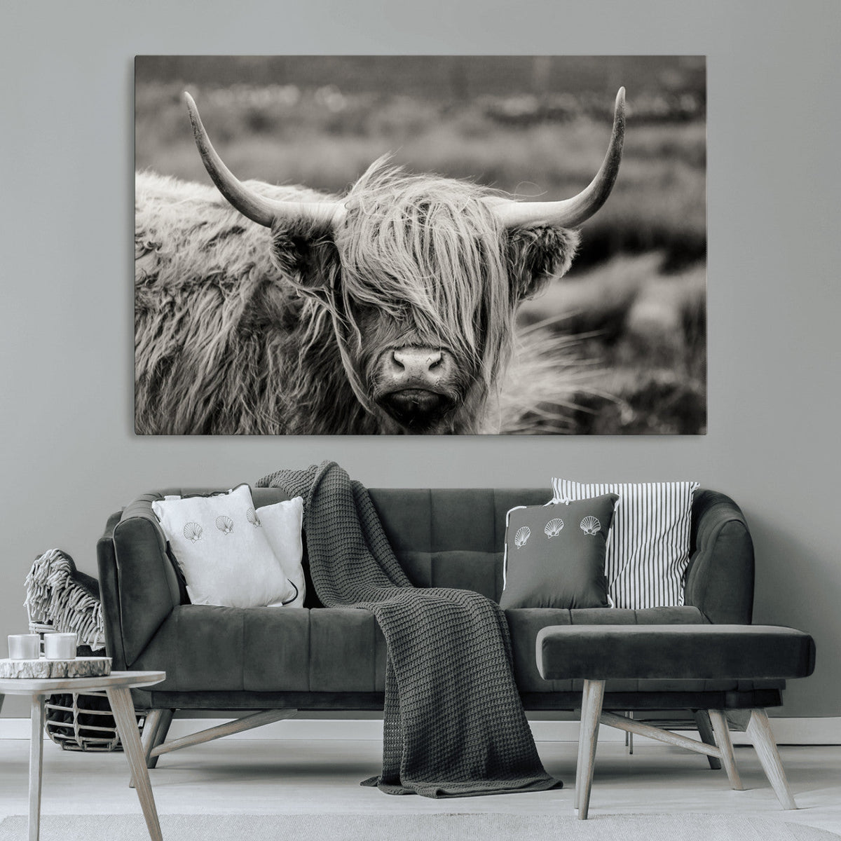 Cow Focus Canvas Wall Art Print