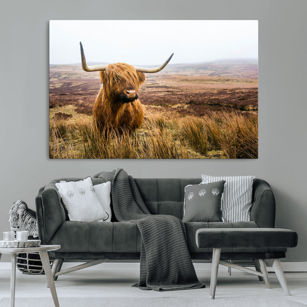 Scottish Highland Cow Canvas Wall Art, Rustic Farmhouse Decor