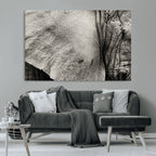 Elephant Wall Art Canvas Print