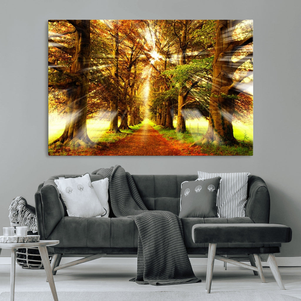 Sunshine in Forest and Trees Wall Art Canvas Print
