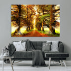 Sunshine in Forest and Trees Wall Art Canvas Print