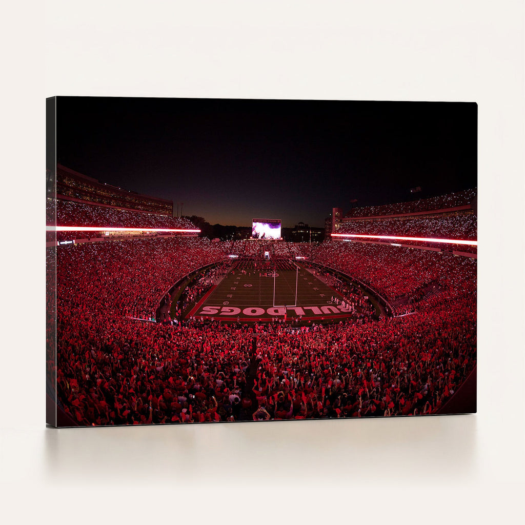 Dooley Stadium Wall Art, Sports Arena Canvas Print, Dooley Field Sanford Stadium