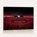 Dooley Stadium Wall Art, Sports Arena Canvas Print, Dooley Field Sanford Stadium