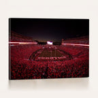 Dooley Stadium Wall Art, Sports Arena Canvas Print, Dooley Field Sanford Stadium