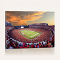 Dooley Stadium Wall Art, Sports Arena Canvas Print, Dooley Field, Framed and Ready to Hang