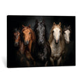 Horse Wall Art Canvas Print, Wild Horses Portrait Photography, Rustic Ranch Decor