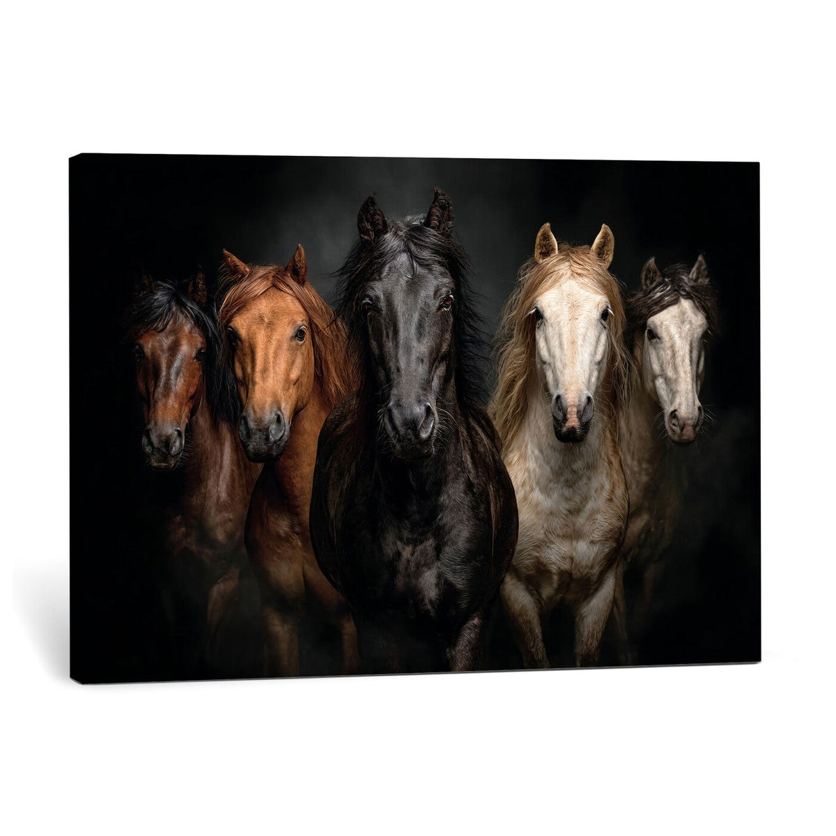 Horse Wall Art Canvas Print, Wild Horses Portrait Photography, Rustic Ranch Decor