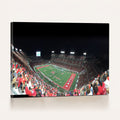 Houston Cougars Football Team Print, Houston TDECU Stadium