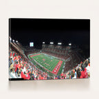 Houston Cougars Football Team Print, Houston TDECU Stadium