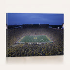 University of Michigan Wolverines Football Team Print, Ann Arbor, Home Bar Wall Decor