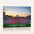 NC State Wolfpack Football Team Print Wall Art, Raleigh