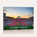 NC State Wolfpack Football Team Print Wall Art, Raleigh