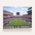 TCU Horned Frogs Football Team Print, Fort Worth Amon G. Carter Stadium, Framed and Ready to Hang