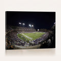 TCU Horned Frogs Football Team Print, Fort Worth Amon G. Carter Stadium