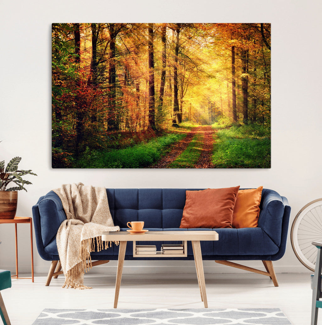 Sunlight Through Trees Wall Art Canvas Print | Autumn Forest Wall Art