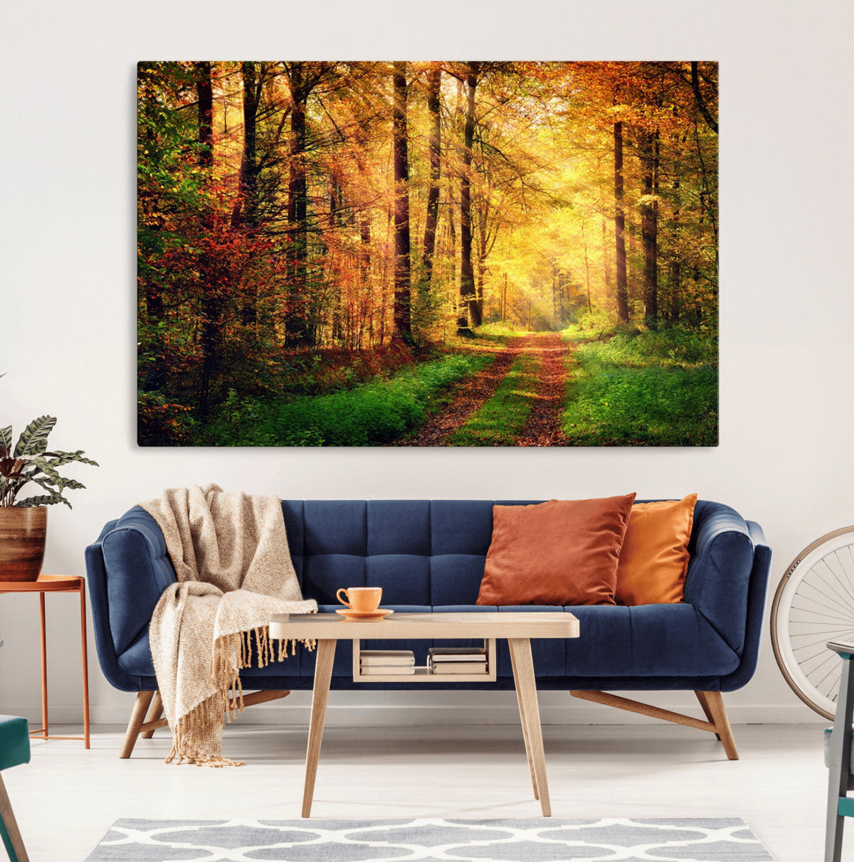Sunlight Through Trees Wall Art Canvas Print | Autumn Forest Wall Art