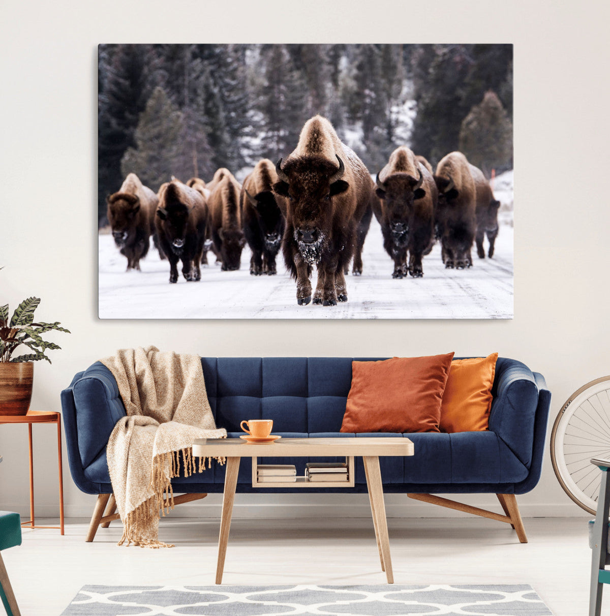 Bison Wall Art Canvas Print, Bison Herd Canvas Wall Art