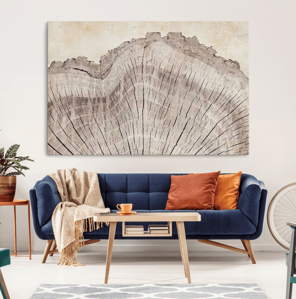 Tree Ring Wall Art Triptych, Rustic Wood Ring Canvas Print