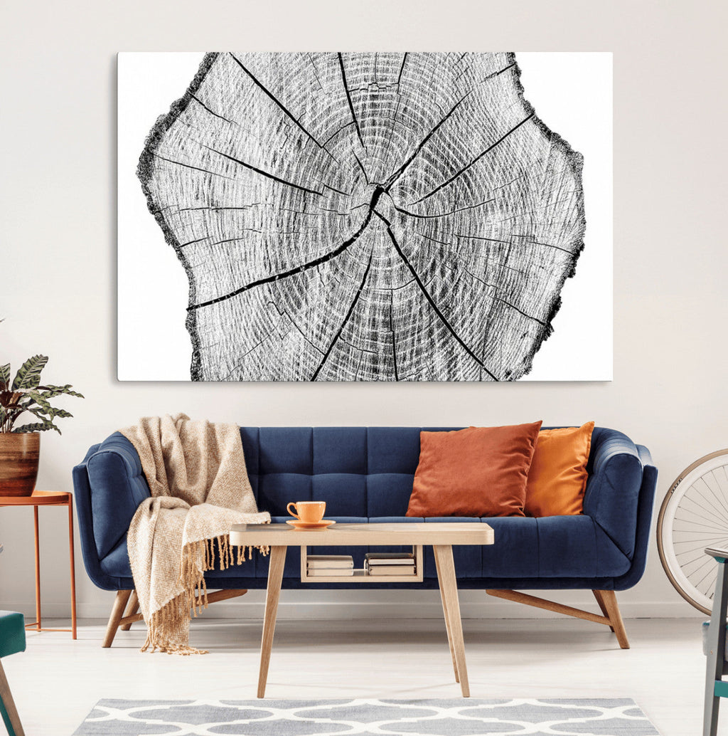 Rustic Tree Ring Wall Art Canvas Print, Framed and Ready to Hang