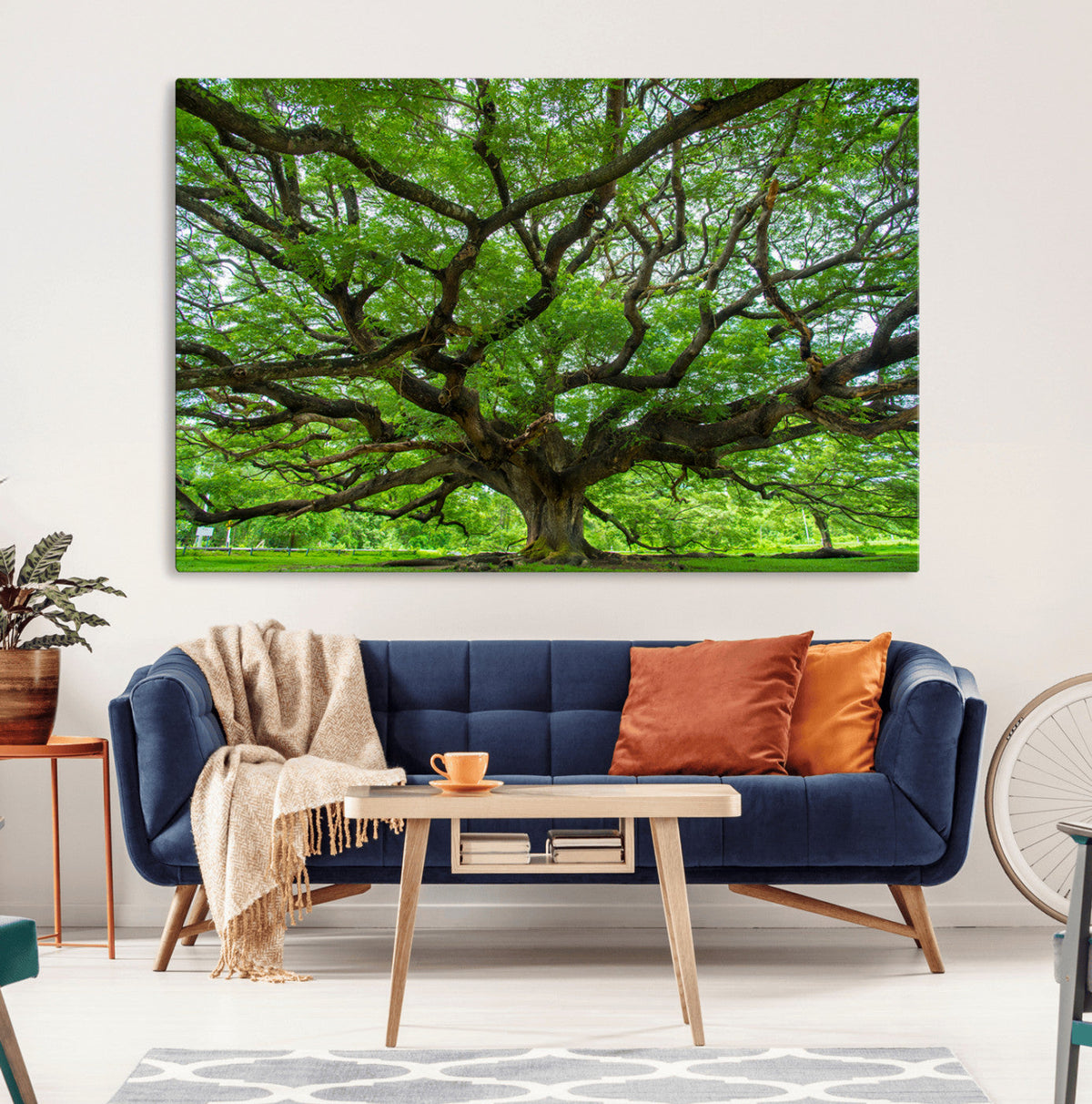 Ancient Tree Wall Art Canvas Print, Framed Sprawling Branches