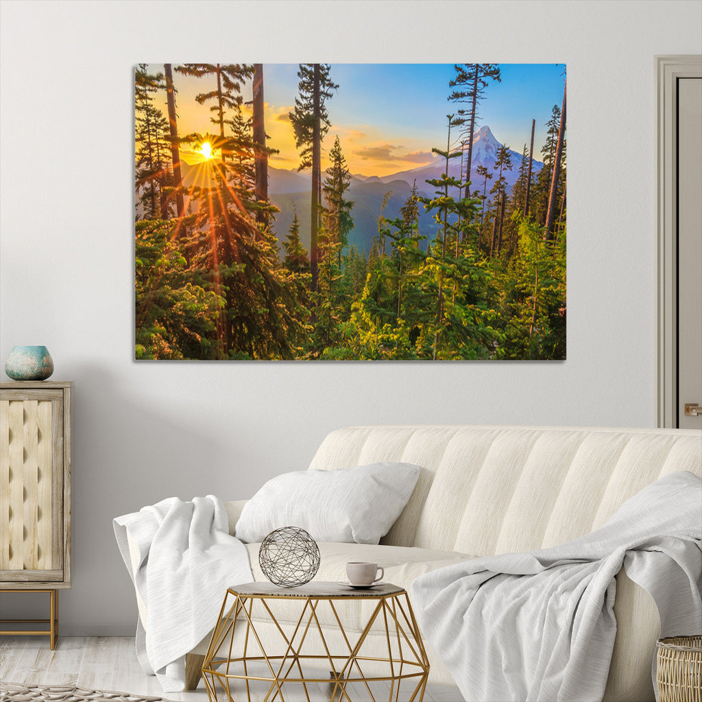 Forest Sunset Wall Art Canvas Print | Green Pines in Golden Light