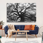 Ancient Oak Wall Art Canvas Print | Gnarled Tree with Twisted Branches