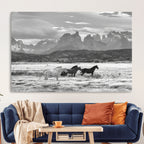 Wild Horses Wall Art | Framed Black White Mountain Canvas
