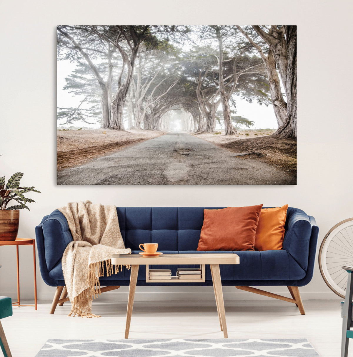 Cypress Tunnel Wall Art | Framed Misty Road Canvas Artwork