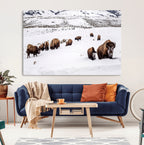 Bison Herd Wall Art Canvas Print, Framed Western Wildlife Decor, Snowy Mountain Valley