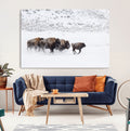 Bison Herd Wall Art Canvas Print, Framed Snowy Bison Scene, Winter Wildlife Decor