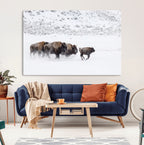 Bison Herd Wall Art Canvas Print, Framed Snowy Bison Scene, Winter Wildlife Decor