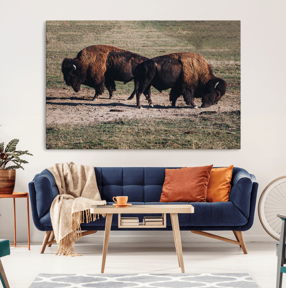 Bison Wall Art Canvas Print, Framed Western Wildlife Modern Ranch
