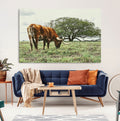 Texas Longhorn Wall Art Canvas Print, Framed Rustic Ranch Western Cattle