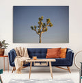 Joshua Tree Wall Art Canvas Print, Framed Southwestern Desert Landscape