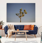 Joshua Tree Wall Art Canvas Print, Framed Southwestern Desert Landscape
