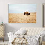 Buffalo Wall Art Canvas Print, Framed Western Wildlife Rustic Prairie Scene