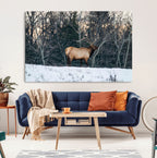 Wild Elk Wall Art Canvas Print, Framed Winter Wildlife in a Snowy Forest