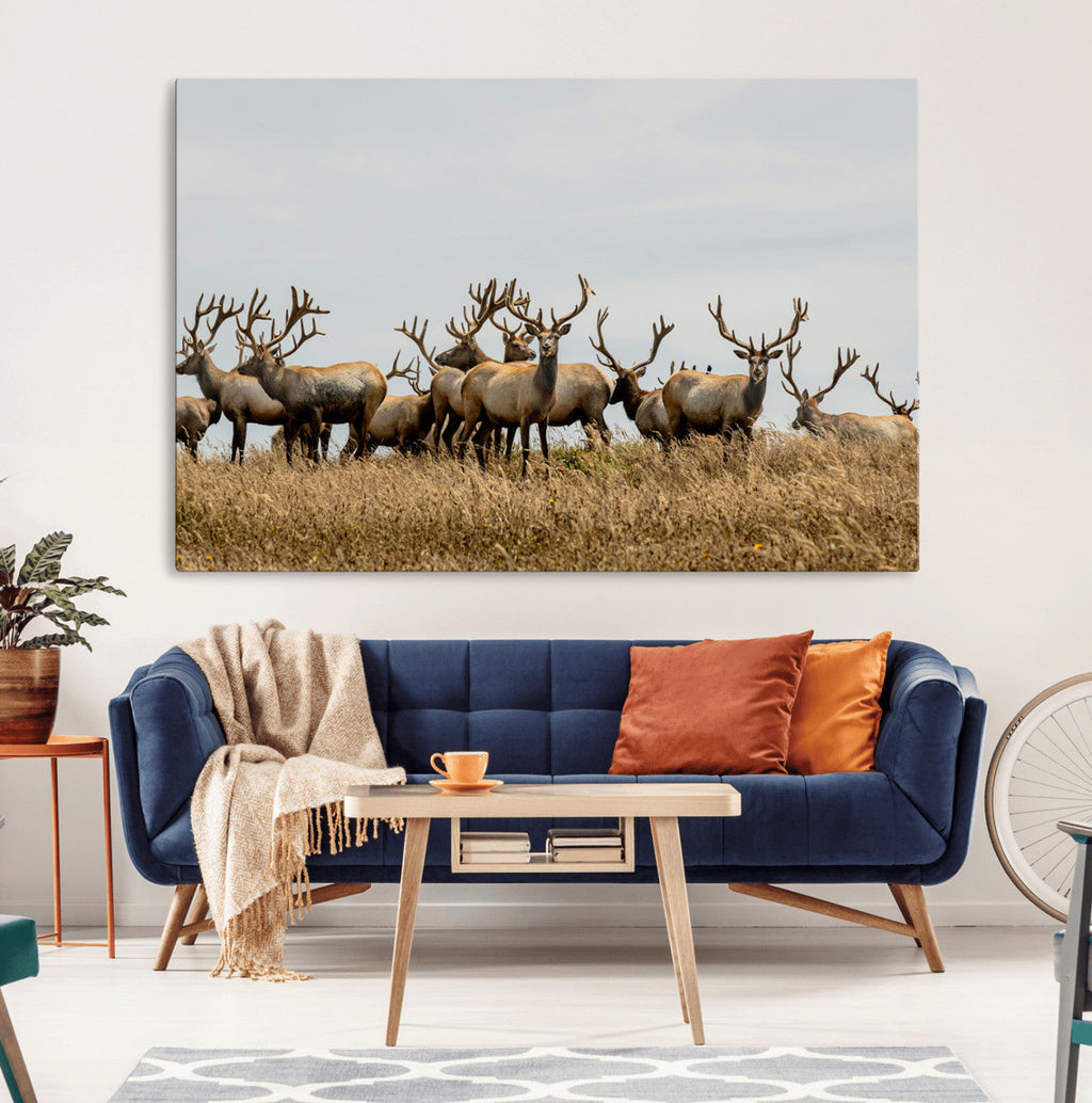 Elk Herd Wall Art Canvas Print, Framed Wildlife Photography Art, Majestic Antlers Rustic Wildlife Decor