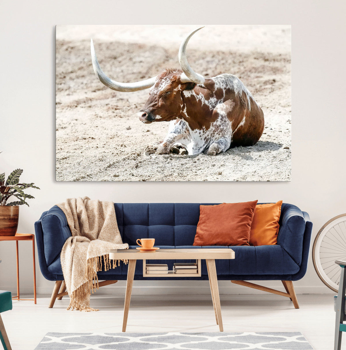 Majestic Longhorn Wall Art Canvas Print, Resting on Sunlit Desert Ground