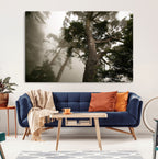Misty Forest Wall Art Canvas Print, Framed Tall Trees in Foggy Atmosphere
