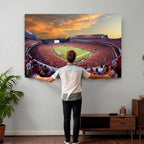 Dooley Stadium Wall Art, Sports Arena Canvas Print, Dooley Field, Framed and Ready to Hang