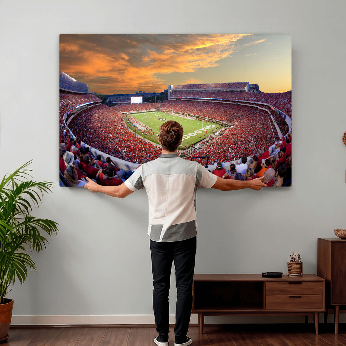 Dooley Stadium Wall Art, Sports Arena Canvas Print, Dooley Field, Framed and Ready to Hang