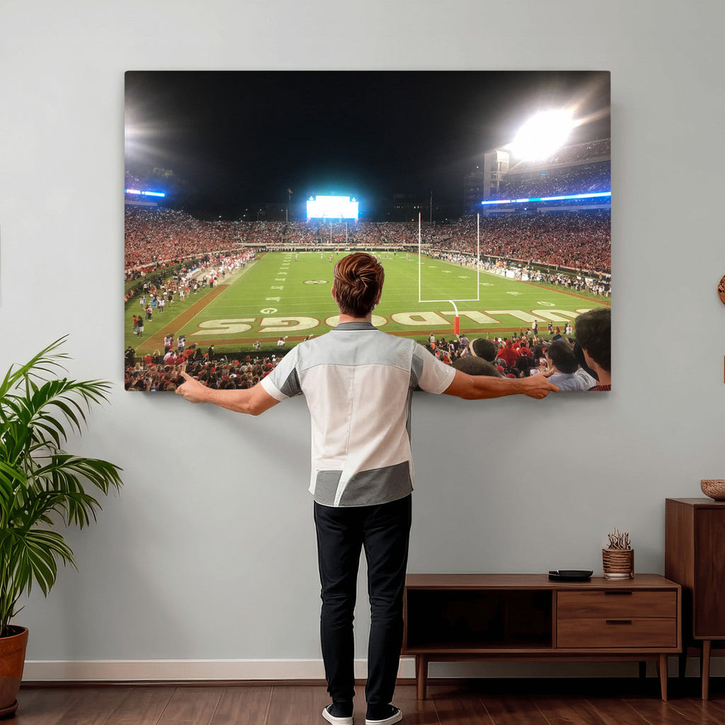 Dooley Stadium Wall Art, Sports Arena Panoramic Canvas