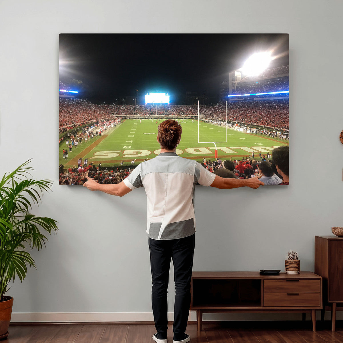 Dooley Stadium Wall Art, Sports Arena Panoramic Canvas