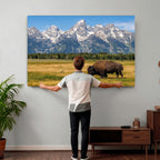 Bison in Mountain Landscape Wall Art Canvas Print, Western Decor