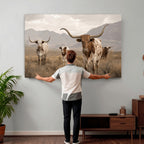 Rustic Texas Longhorn Cow Canvas Wall Art Print, Farm Animal Photography