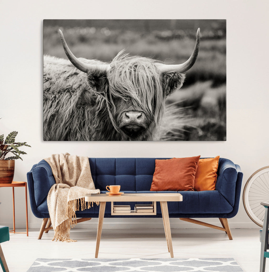 Cow Focus Canvas Wall Art Print
